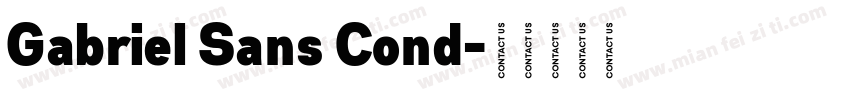Gabriel Sans Cond字体转换
